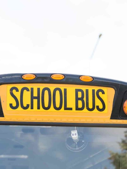 How Many Gallons Of Gas Does A School Bus Hold? [ We Answered ]
