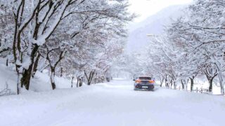 Best SUVs for Snow